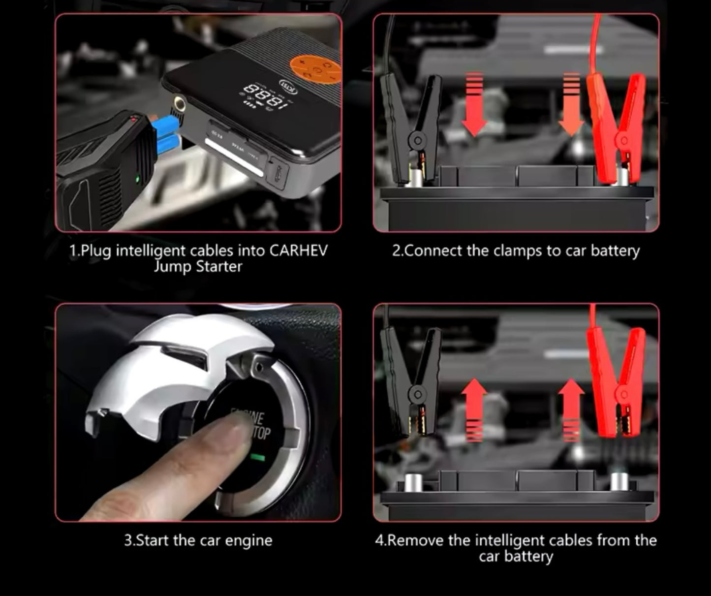 Beetro JUMP STARTER التوصيل مجاني